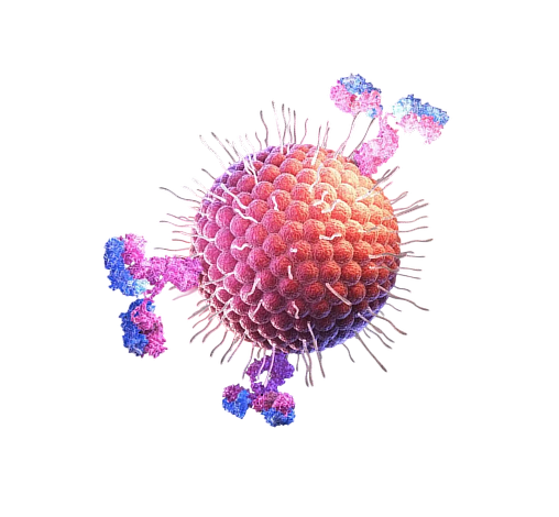 Herpes simplex virus 1